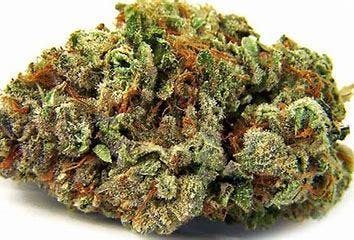 indica-exclusive-louis-xiii-5g40-2oz-390-qp760