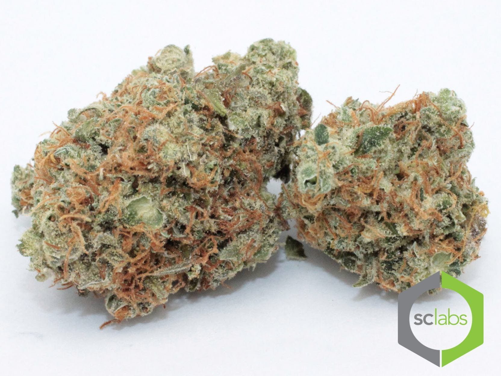 marijuana-dispensaries-2136-newport-blvd-costa-mesa-exclusive-maui-wowie-5g-x-55