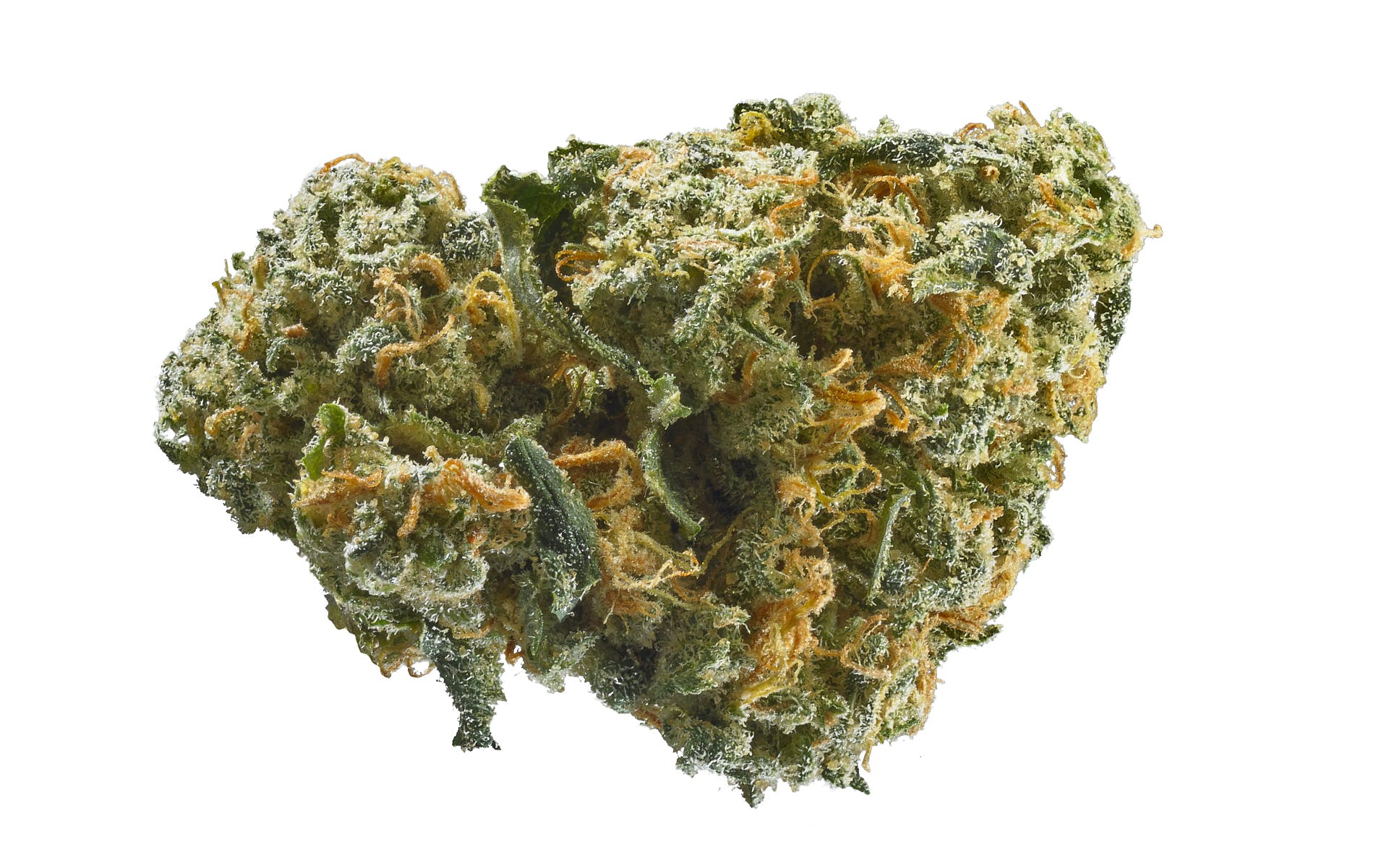 marijuana-dispensaries-825-n-euclid-st-anaheim-exclusive-mega-lemon-haze