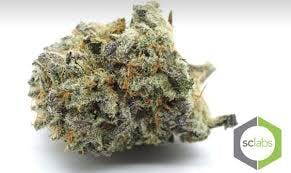 marijuana-dispensaries-825-n-euclid-st-anaheim-exclusive-mimosa-sd