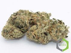 marijuana-dispensaries-825-n-euclid-st-anaheim-exclusive-mochi