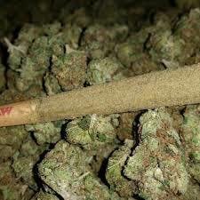 marijuana-dispensaries-11638-victory-blvd-north-hollywood-exclusive-og-kush-cone