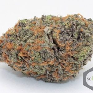 *Exclusive* Sundae Driver (SD)