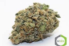 marijuana-dispensaries-2136-newport-blvd-costa-mesa-exclusive-sunset-sherbert-5g-x-55