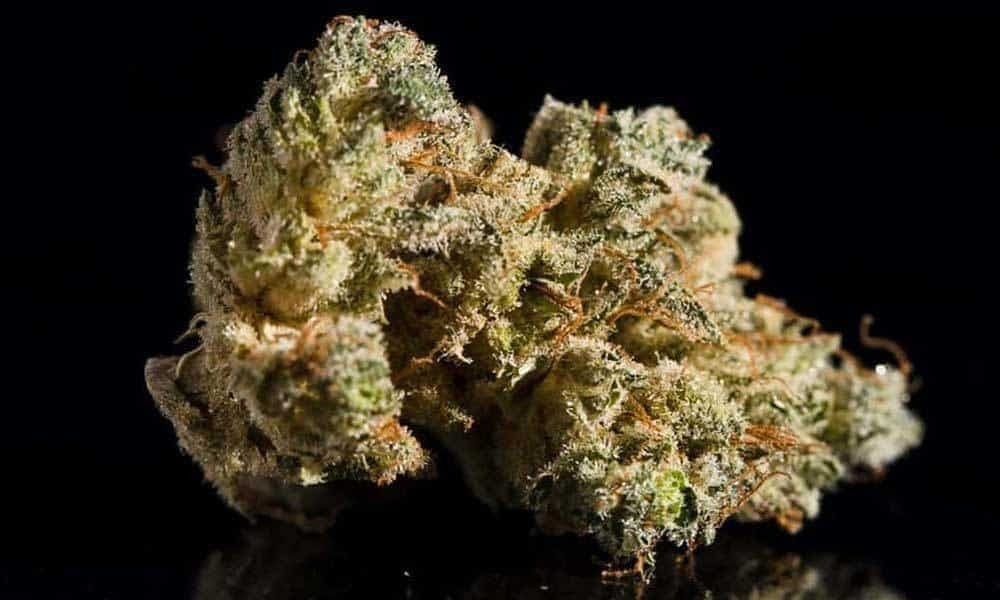 marijuana-dispensaries-7923-duchess-drive-whittier-exclusive-sweet-n-sour