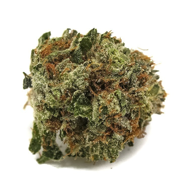 marijuana-dispensaries-2136-newport-blvd-costa-mesa-exclusive-ultra-og-5g-x-55