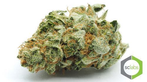 *EXCLUSIVE* White Fire OG