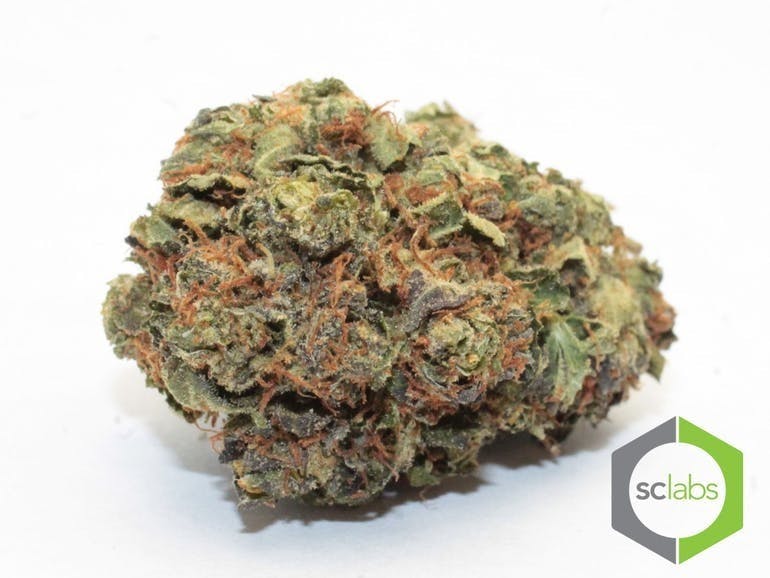 marijuana-dispensaries-2136-newport-blvd-costa-mesa-exclusive-wookies-5g-x-55