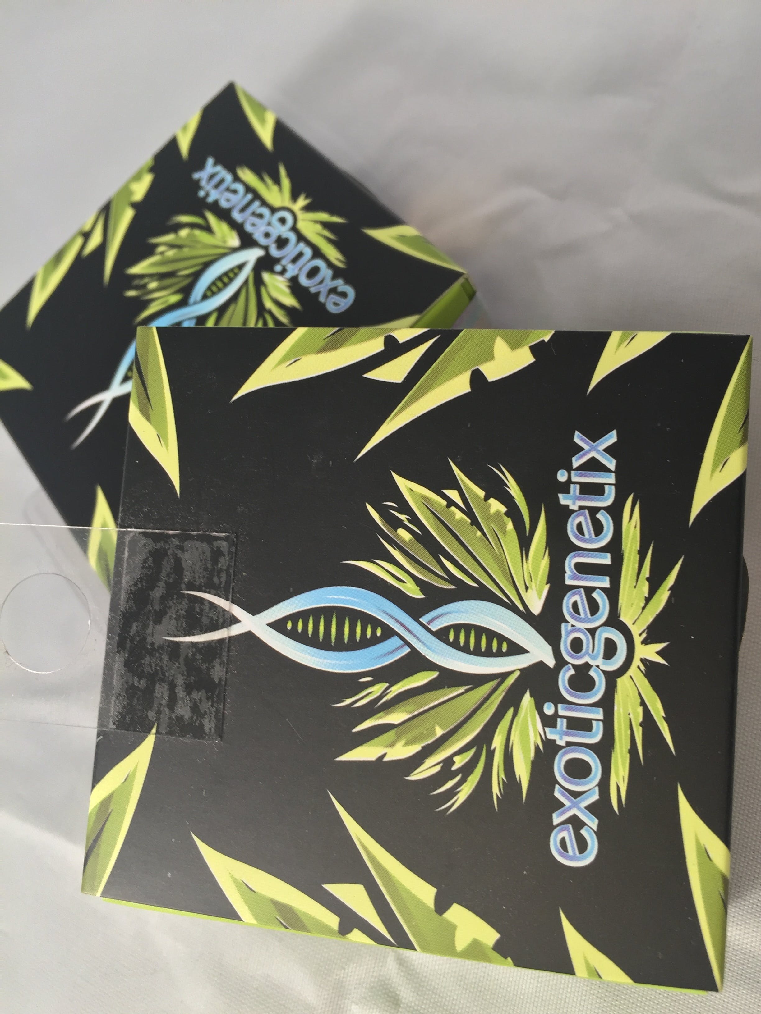 seed-exotic-genetics-10-pack