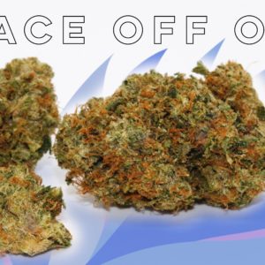 Face Off OG Kush - from GrassRoots - deli