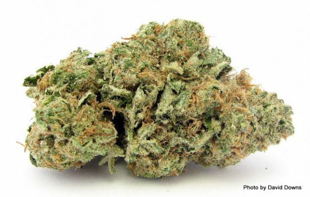 marijuana-dispensaries-900-lomita-blvd-suite-k-harbor-city-faceoff-og-kush-5g-40-2445