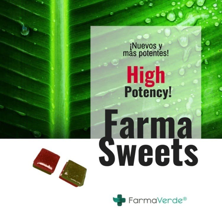 marijuana-dispensaries-bgreen-dispensary-in-san-germain-farma-sweets-high-potency
