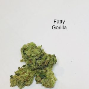 Fatty Gorilla