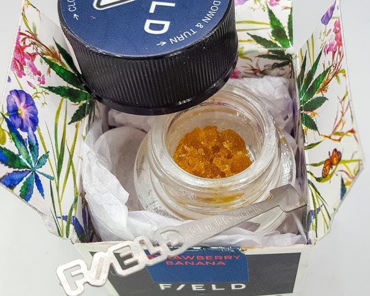 Field Extracts - Live Resin