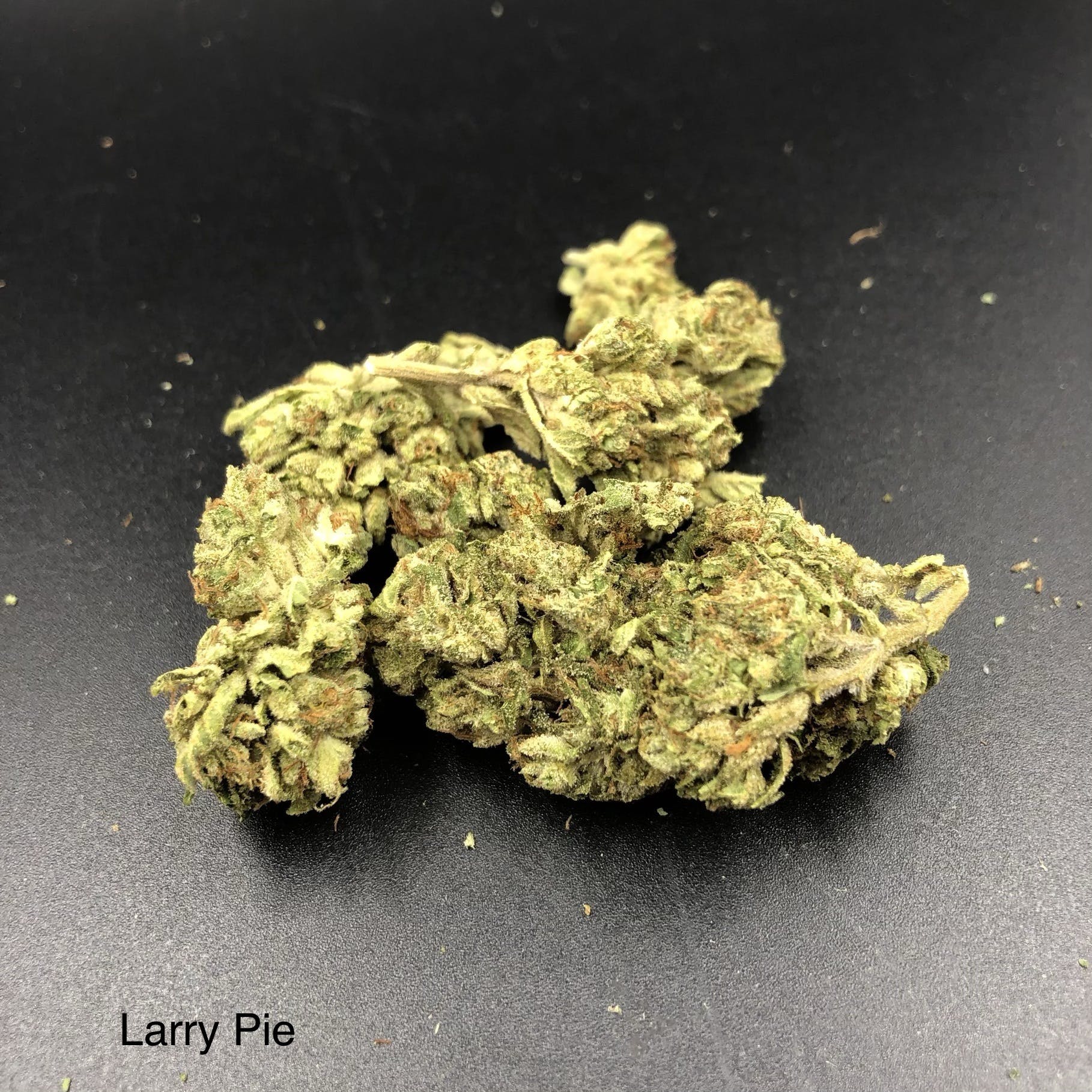 Field Extracts Mendo Larry Pie