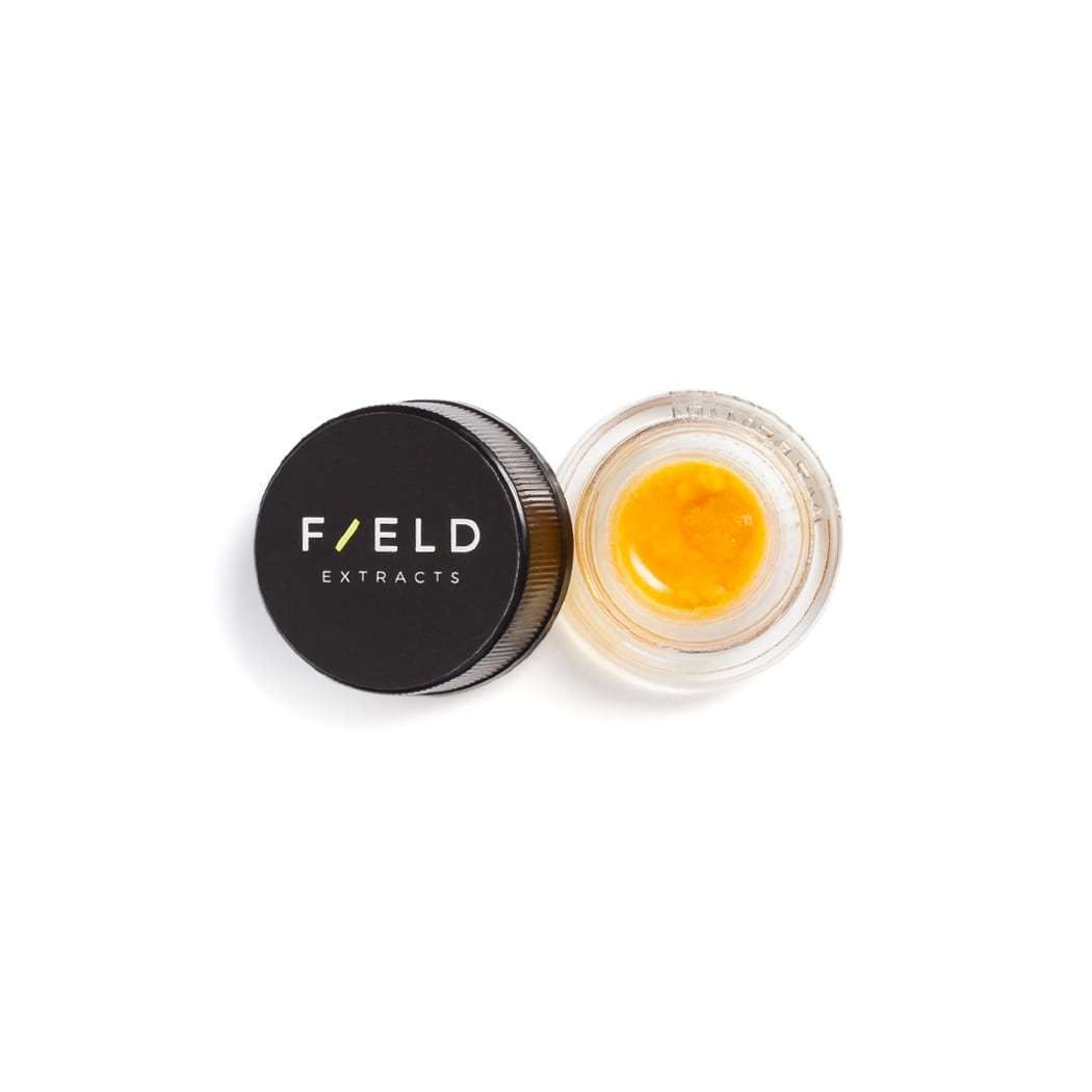Field Extracts - Sunset Sherbet Sauce