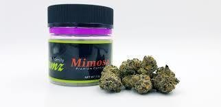 indica-fields-family-farms-mimosa