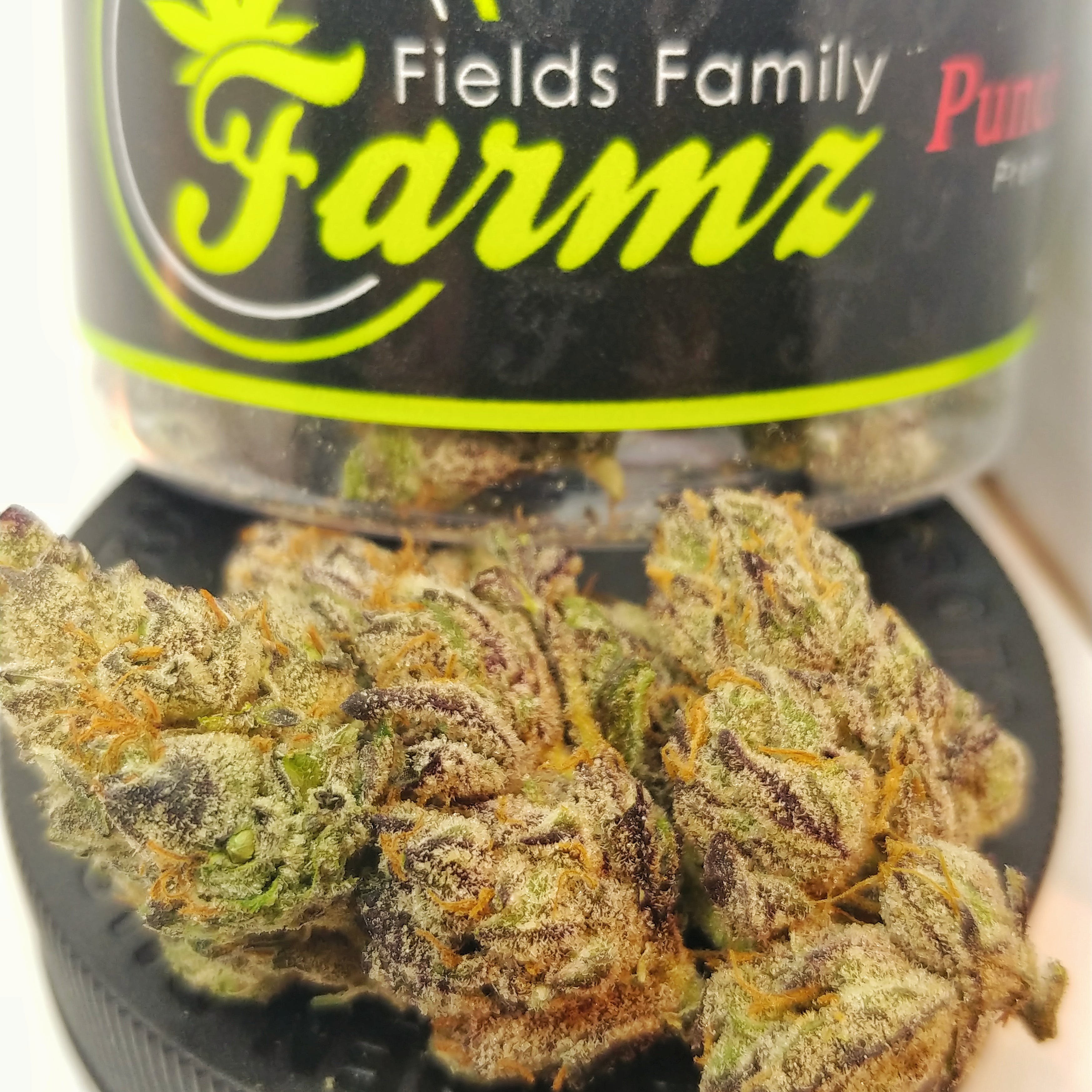 Fields Family Farmz Punch Berry