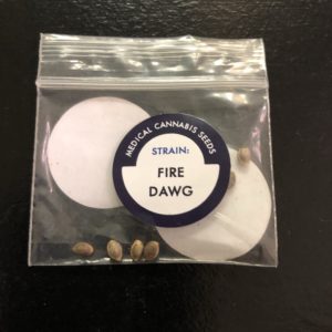 Fire Dawg/pack of 10 seeds