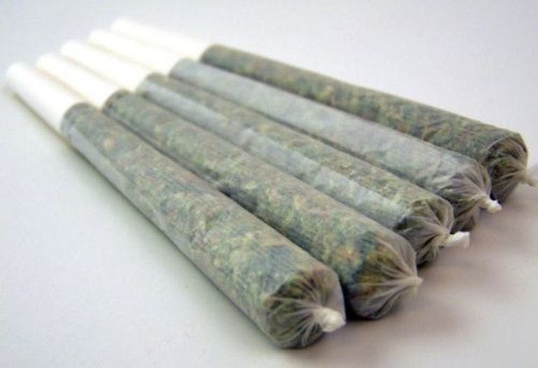 preroll-five-joint-pack
