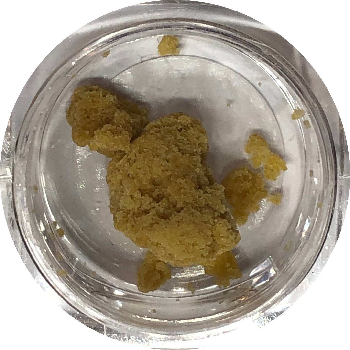 concentrate-flavor-crumble-5g-cookies-h