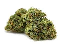 marijuana-dispensaries-439-north-commercial-street-trinidad-flo-punk-rock-shelf