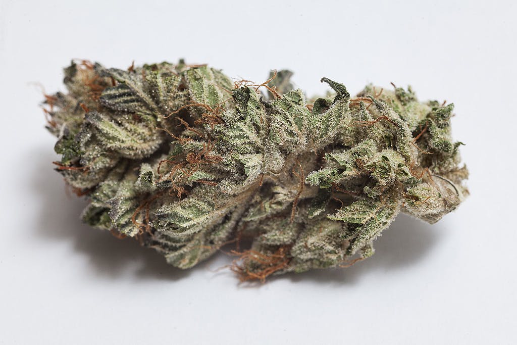 marijuana-dispensaries-1301-marion-st-denver-flo-special