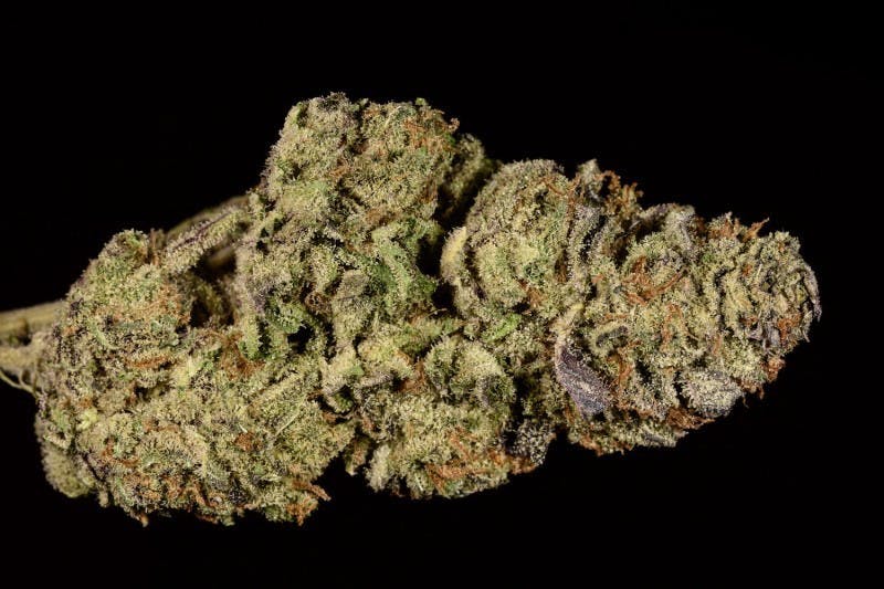 marijuana-dispensaries-4845-van-gordon-st-wheat-ridge-flo-tax-included