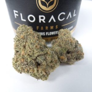 FLORA - ROSE ESPECIAL - 17.83% THC