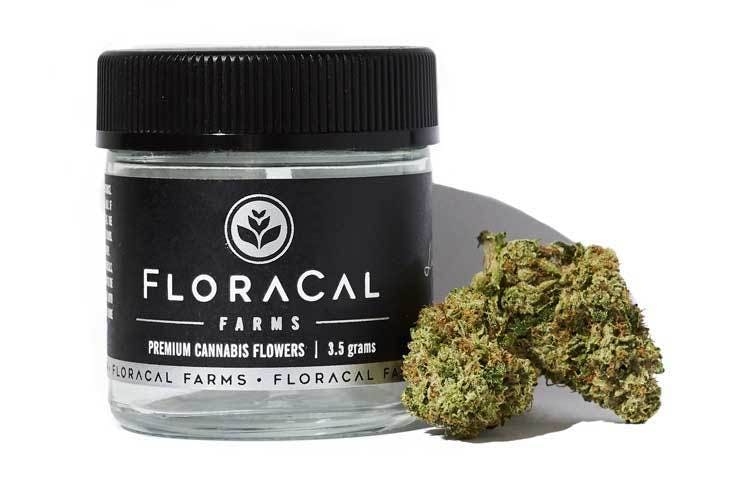 FloraCal - Dosidos - 1/8th