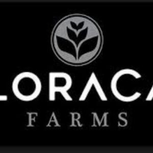 Floracal Farms - Lemon Banana Sherbert