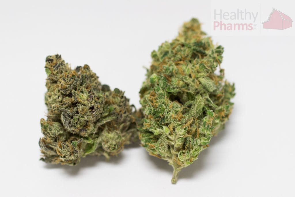 marijuana-dispensaries-healthy-pharms-in-cambridge-flower-707-truthband