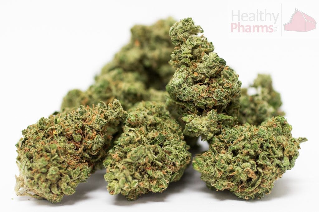 marijuana-dispensaries-healthy-pharms-in-cambridge-flower-blue-kush