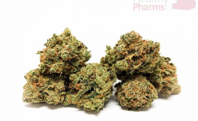 marijuana-dispensaries-healthy-pharms-in-cambridge-flower-lemon-skunk