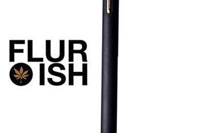 Flurish: Disposable Vape Pen 500mg
