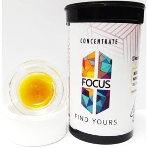 Focus- Lemon Fuel Sugar