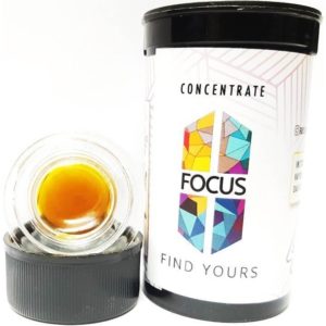 Focus- Ztraberiez Sauce