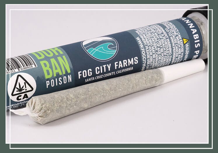 Fog City Farms- Durban Poison