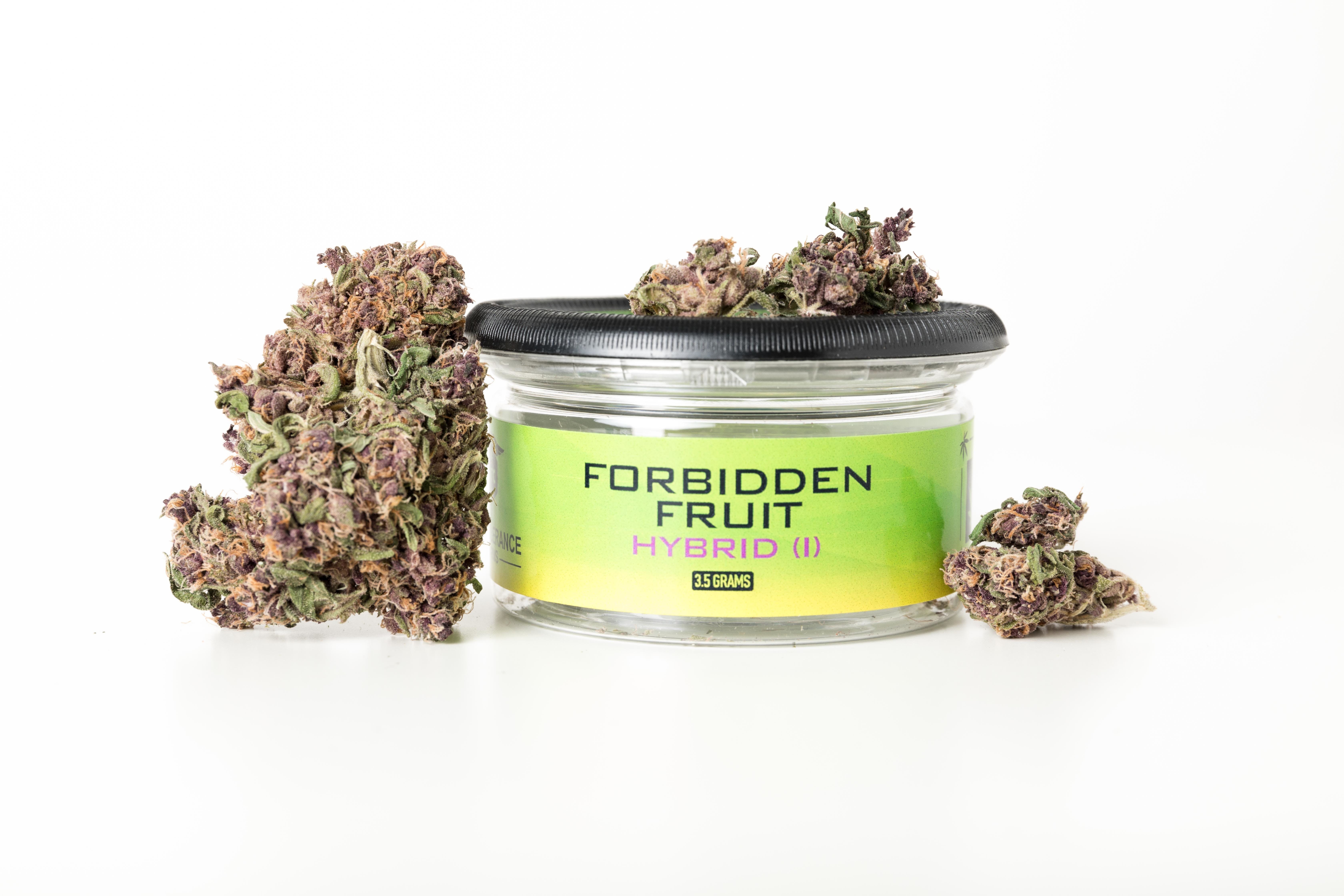 hybrid-forbidden-fruit-high-tolerance