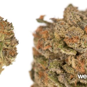 Fortune Cookies - $99 OZ. SPECIAL!