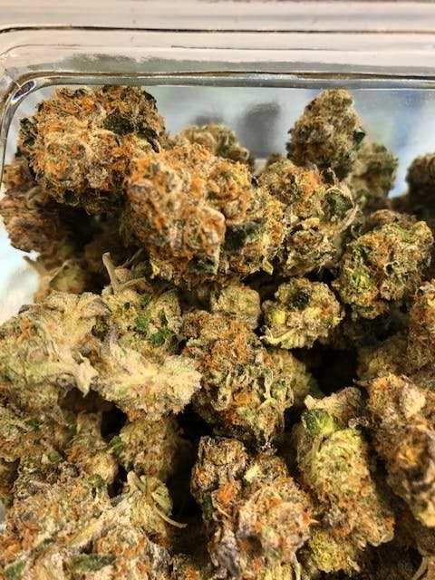 marijuana-dispensaries-3840-n-nevada-colorado-springs-forum-cut-girlscout-cookies