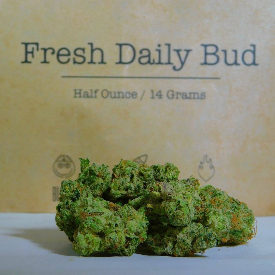 Fresh Daily Bud - Space Queen