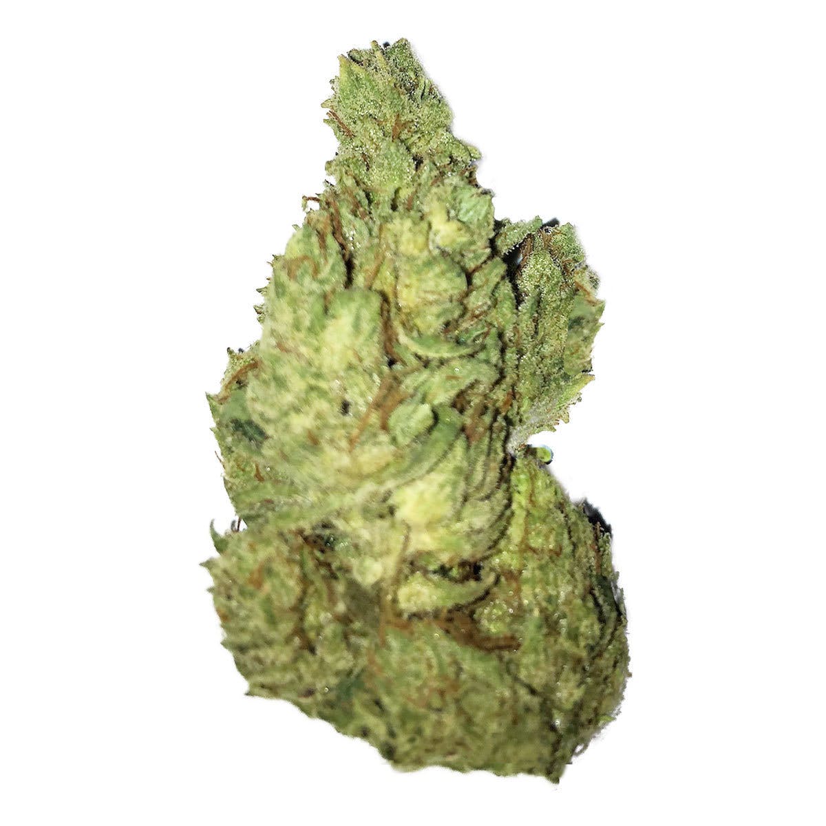 marijuana-dispensaries-350-w-martin-luther-king-jr-blvd-los-angeles-funky-og