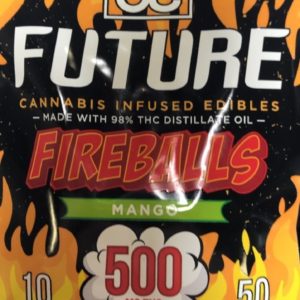 Future 20/20: Mango Fireballs 500mg