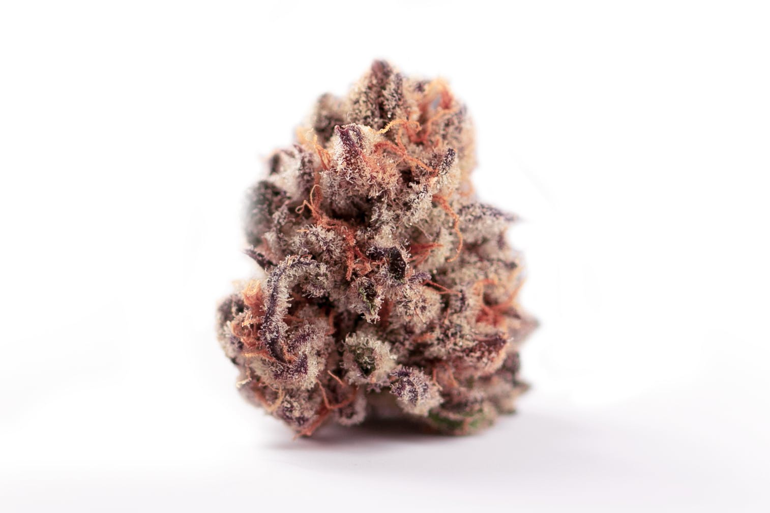 indica-fuzzy-navel-4991-by-ripped-city-gardens