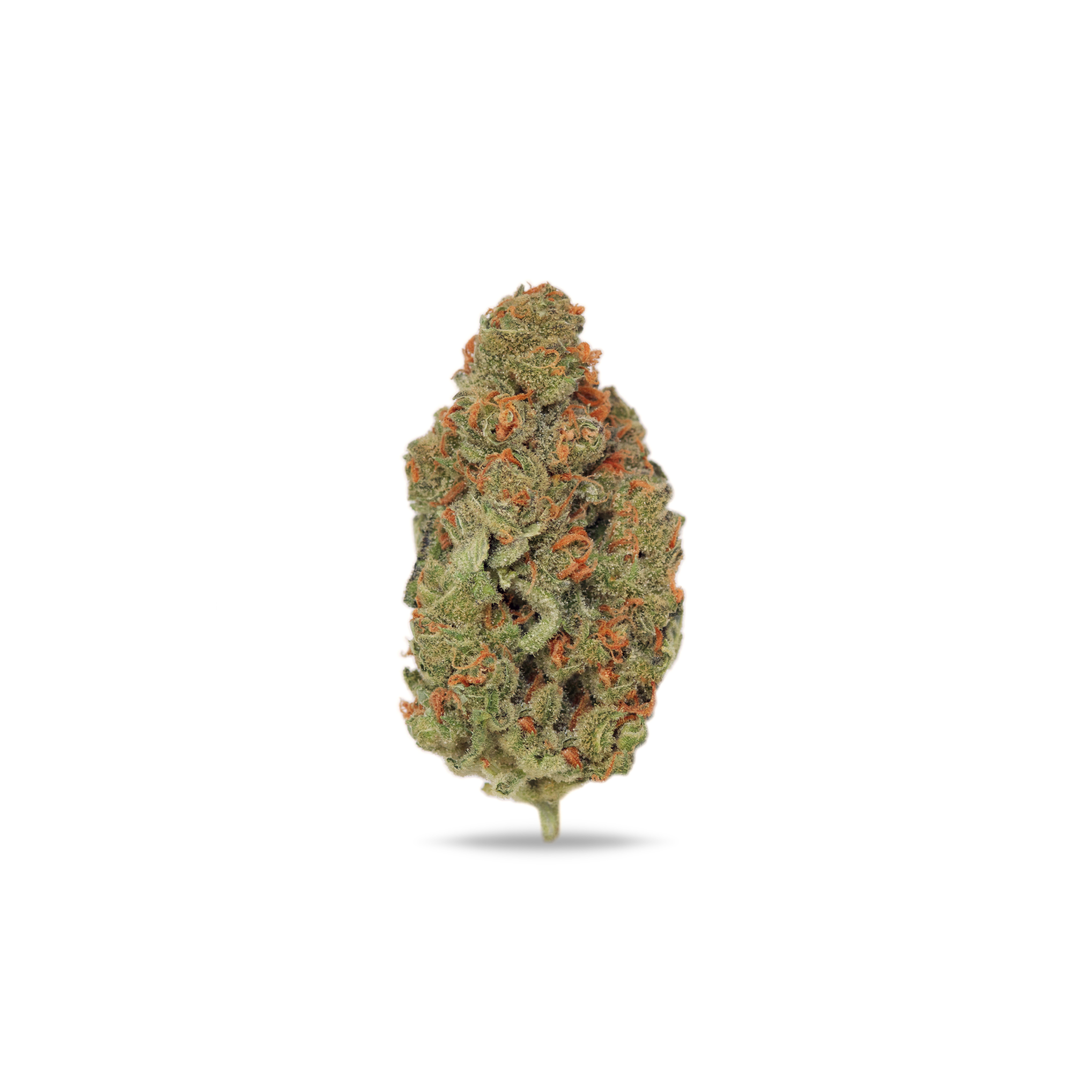 marijuana-dispensaries-697-washington-st-newton-g-o-a-t-2312