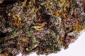 marijuana-dispensaries-11638-victory-blvd-north-hollywood-ganddaddy-purple
