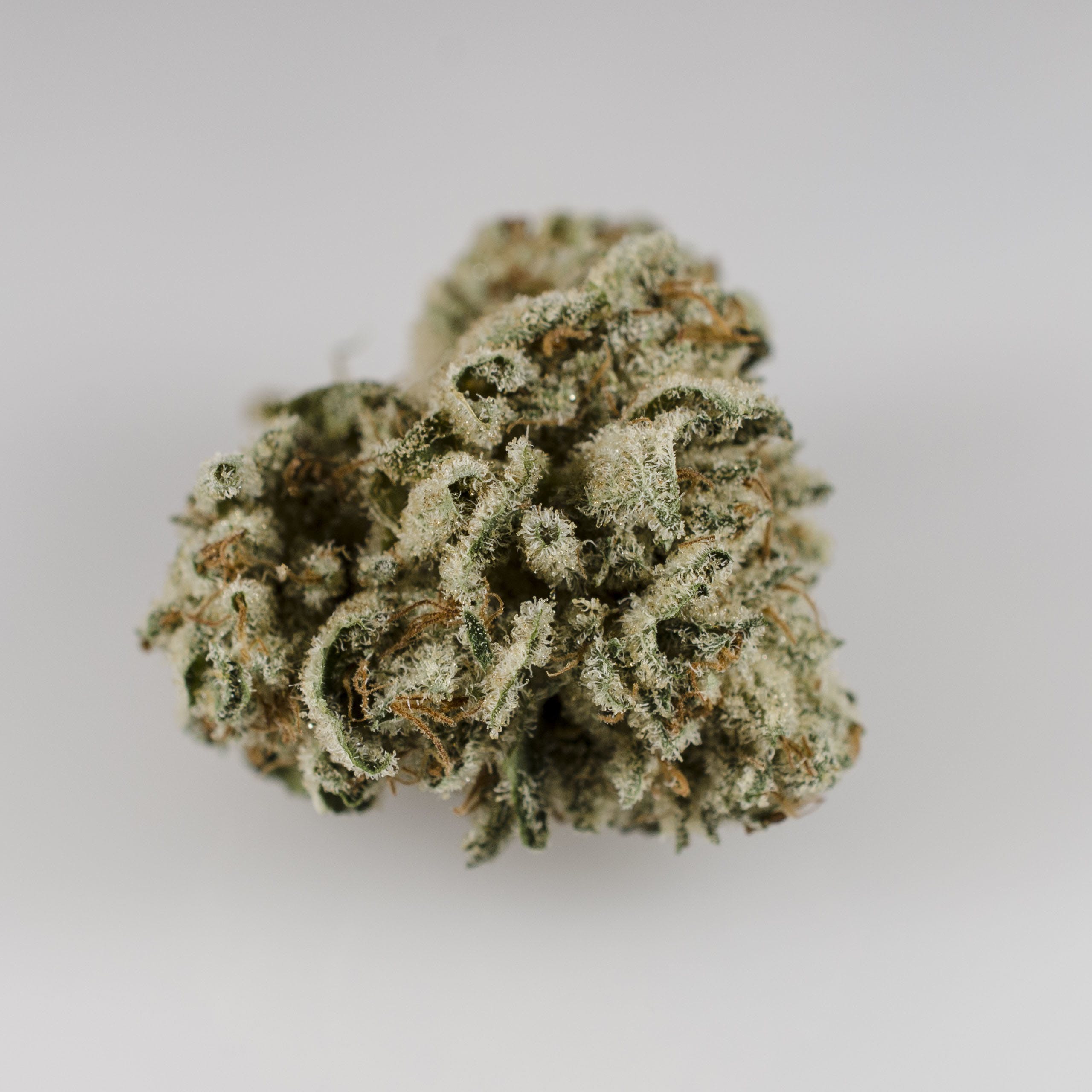 marijuana-dispensaries-5420-arapahoe-ave-unit-f-boulder-ganesh-kush-choice-members