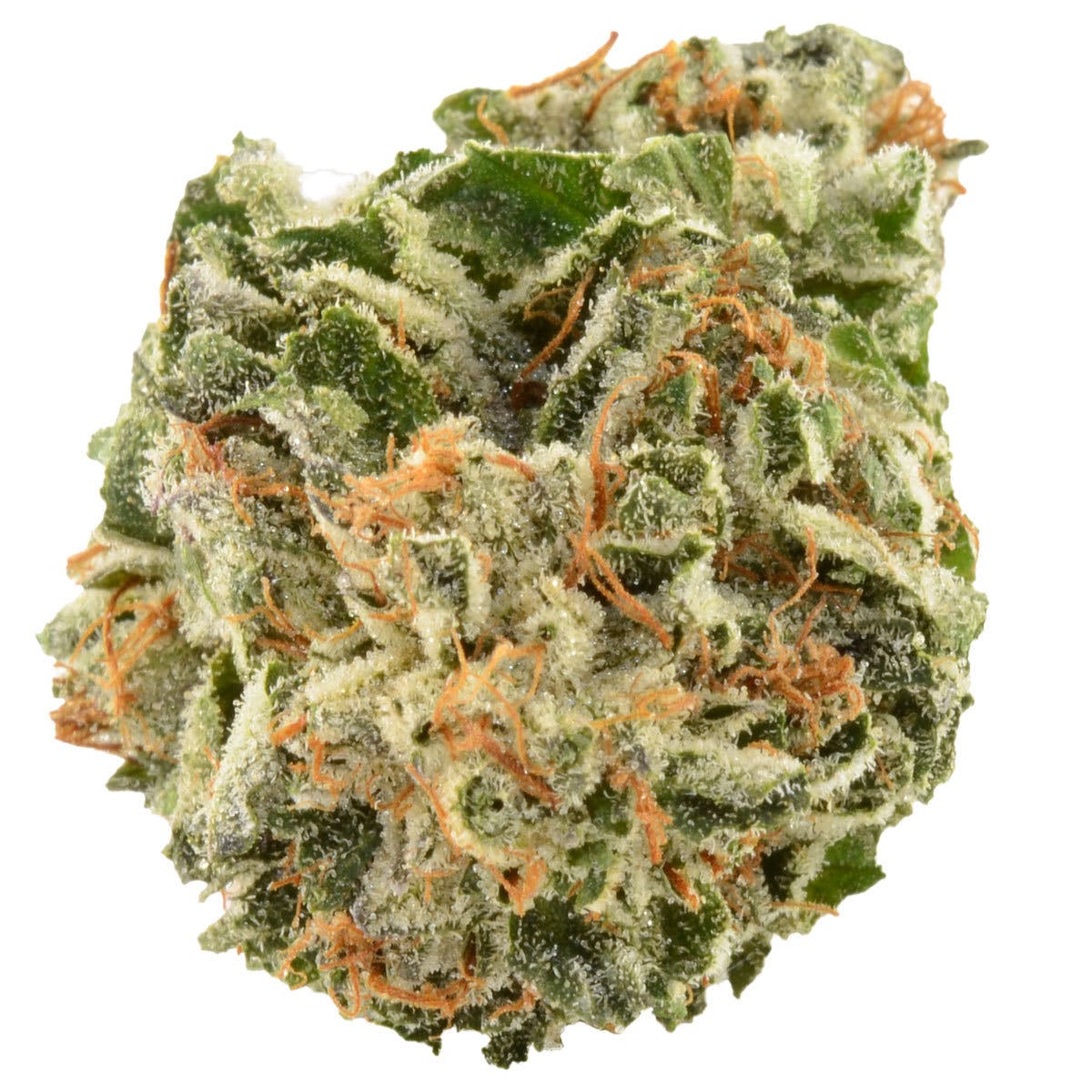 marijuana-dispensaries-7304-michigan-ave-detroit-gangsta-og