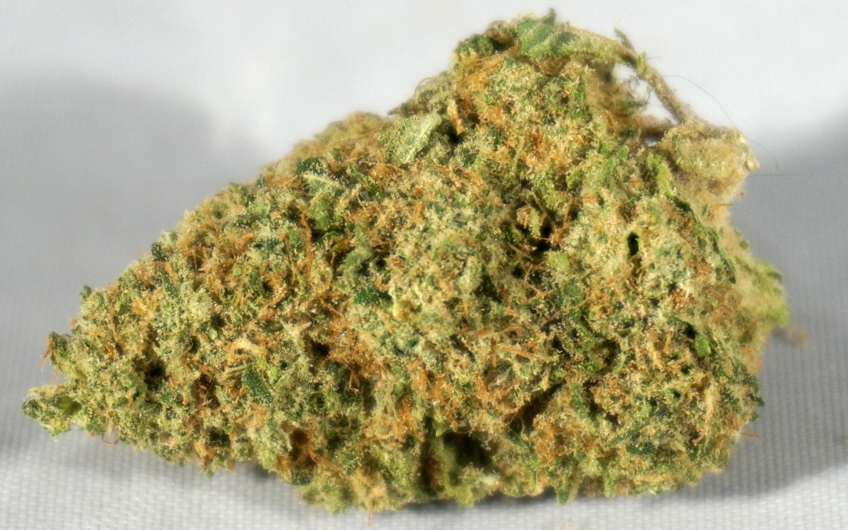 marijuana-dispensaries-5550-joliet-st-denver-gangstas-paradise